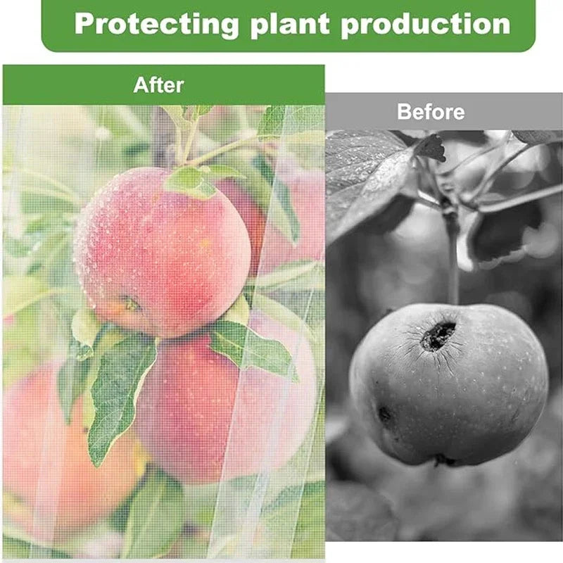 HarvestGuard™ — Large Zip-Up Fruit Tree Net with Insect & Bird Barrier