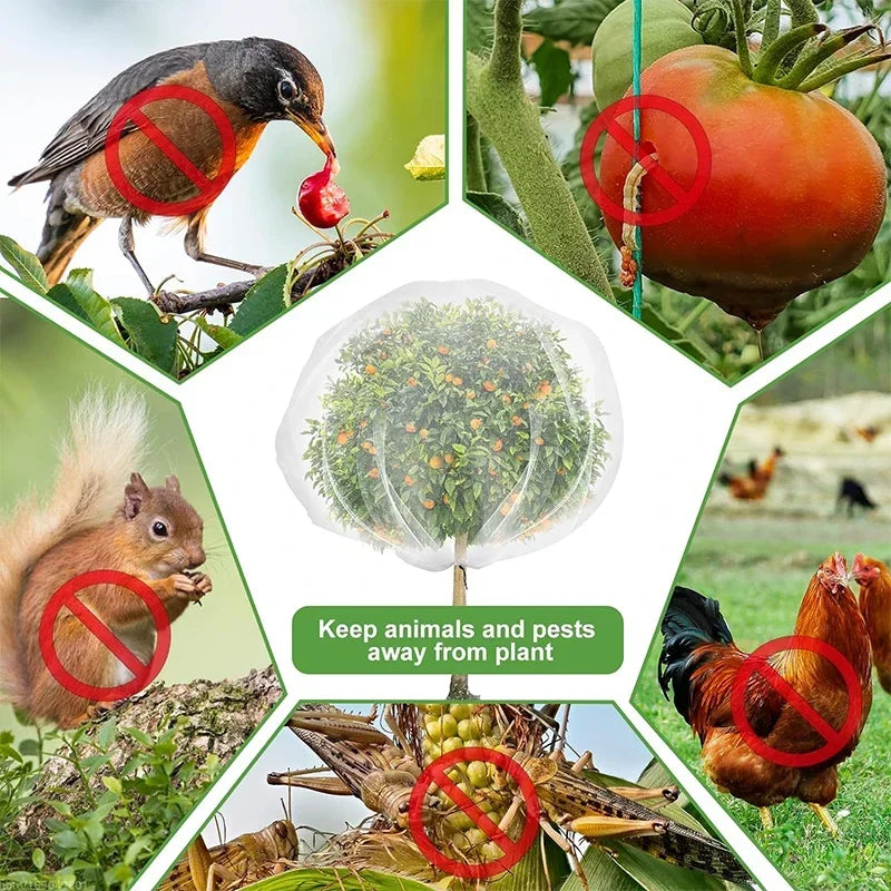 HarvestGuard™ — Large Zip-Up Fruit Tree Net with Insect & Bird Barrier