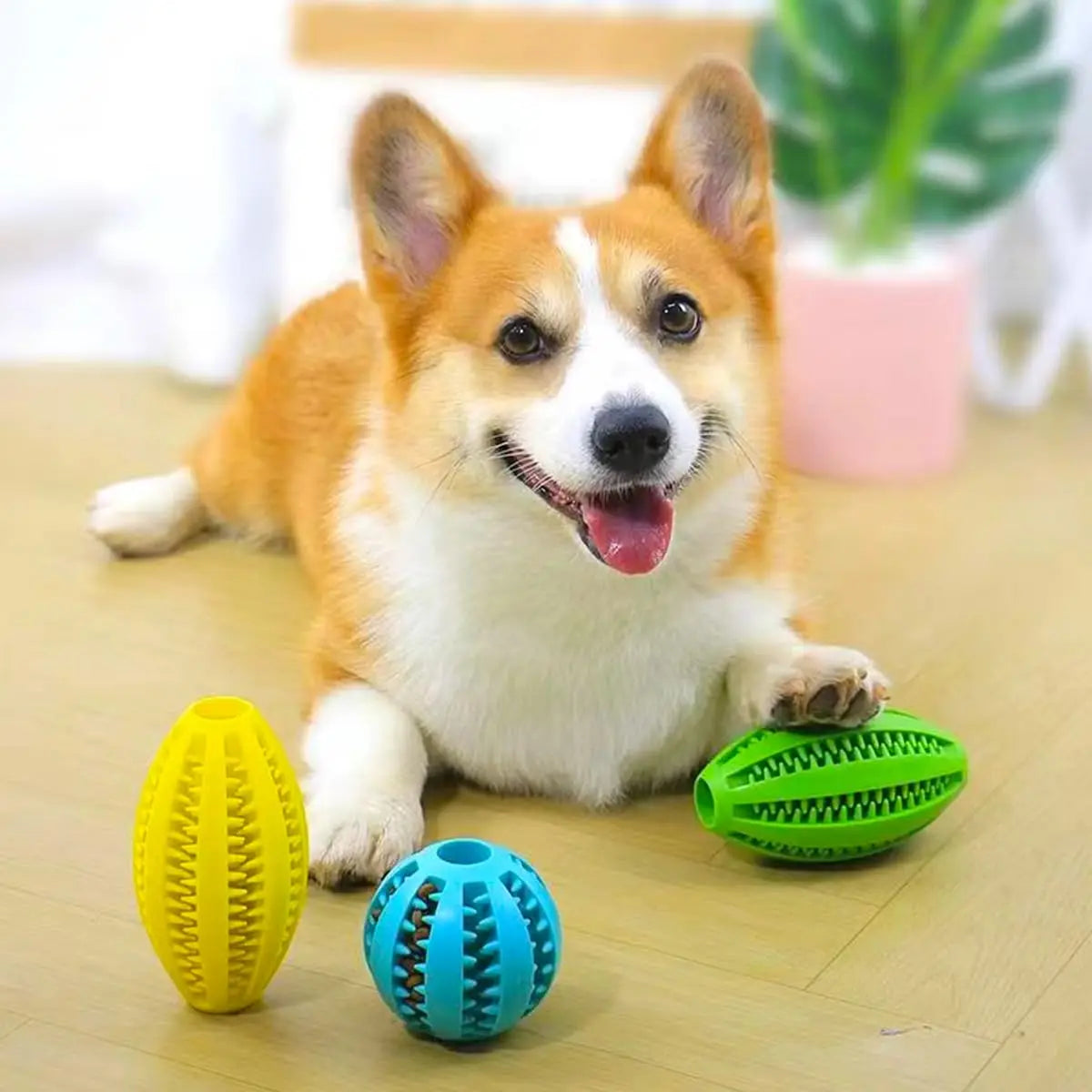 ChompBall™ — Tough Rubber Chew & Treat Toy for Dogs