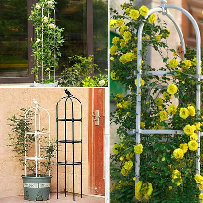 VertiGrow™ 6ft Obelisk Garden Trellis – Rustproof Support for Climbing Plants