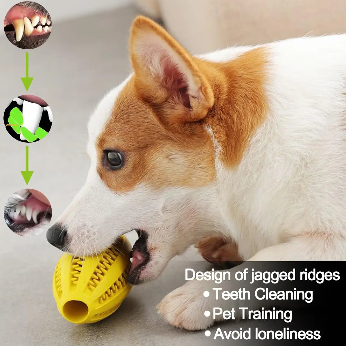 ChompBall™ — Tough Rubber Chew & Treat Toy for Dogs