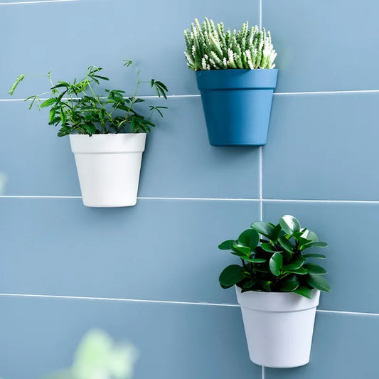 WallBloom™ Semi-Circular Wall Planter – No-Drill Hydroponic Flower Pot for Indoors & Balconies