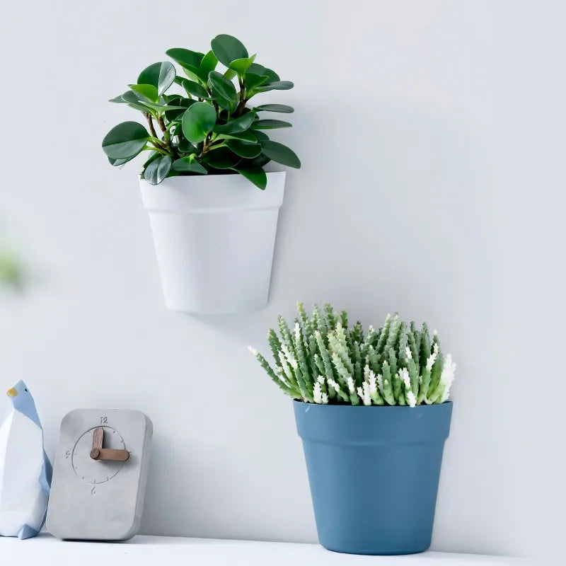 WallBloom™ Semi-Circular Wall Planter – No-Drill Hydroponic Flower Pot for Indoors & Balconies