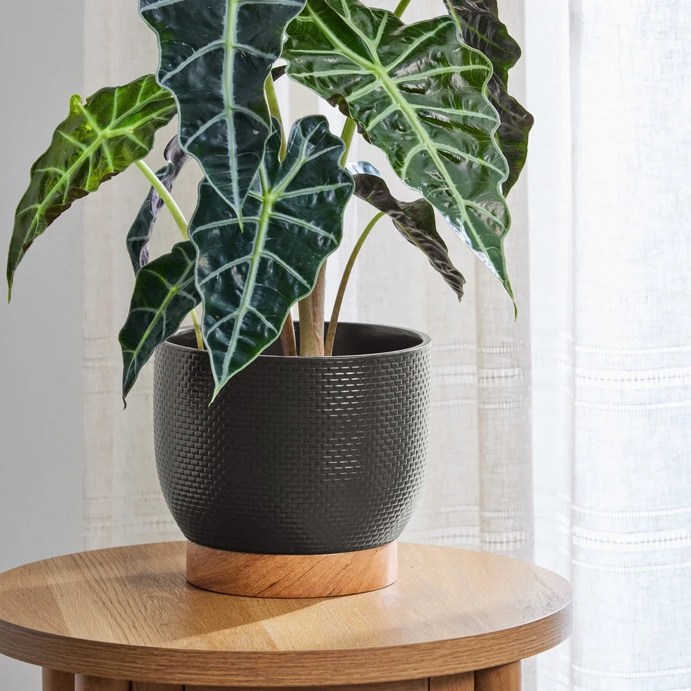 CeramiWeave™ 8-Inch Woven Ceramic Planter – Modern Indoor/Outdoor Pot with Drainage