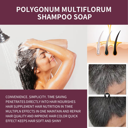 Polygonum Black Restore™ Shampoo Bar – Herbal Anti-Hair Loss & Dandruff Control Soap with Root Strengthening Formula