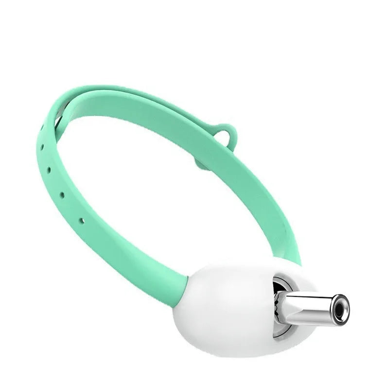PounceBeam™ — Rechargeable Laser Toy Collar for Indoor Cats