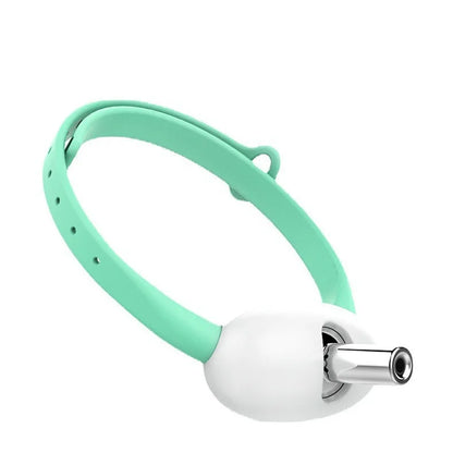 PounceBeam™ — Rechargeable Laser Toy Collar for Indoor Cats