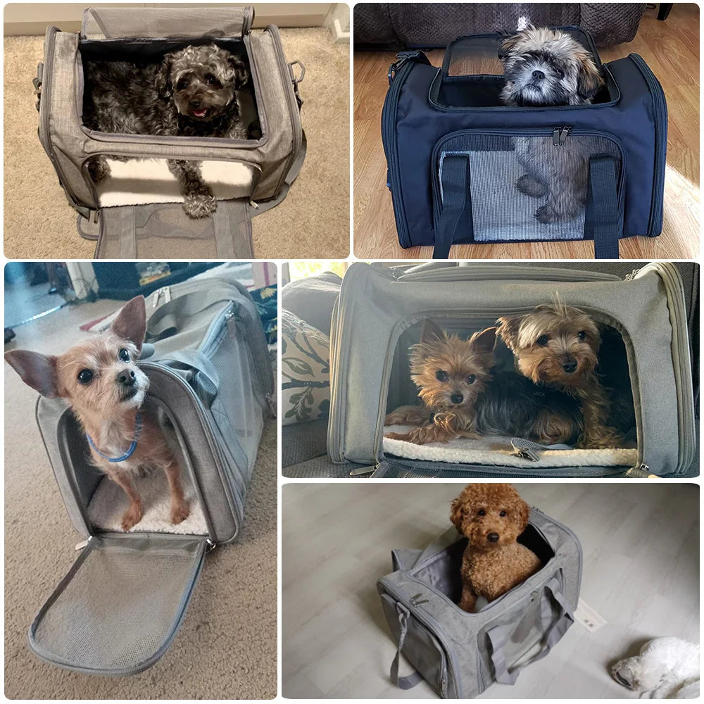 PawPorter™ — Airline-Approved Soft-Sided Pet Travel Carrier