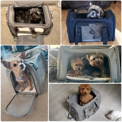 PawPorter™ — Airline-Approved Soft-Sided Pet Travel Carrier
