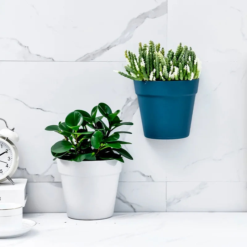 WallBloom™ Semi-Circular Wall Planter – No-Drill Hydroponic Flower Pot for Indoors & Balconies